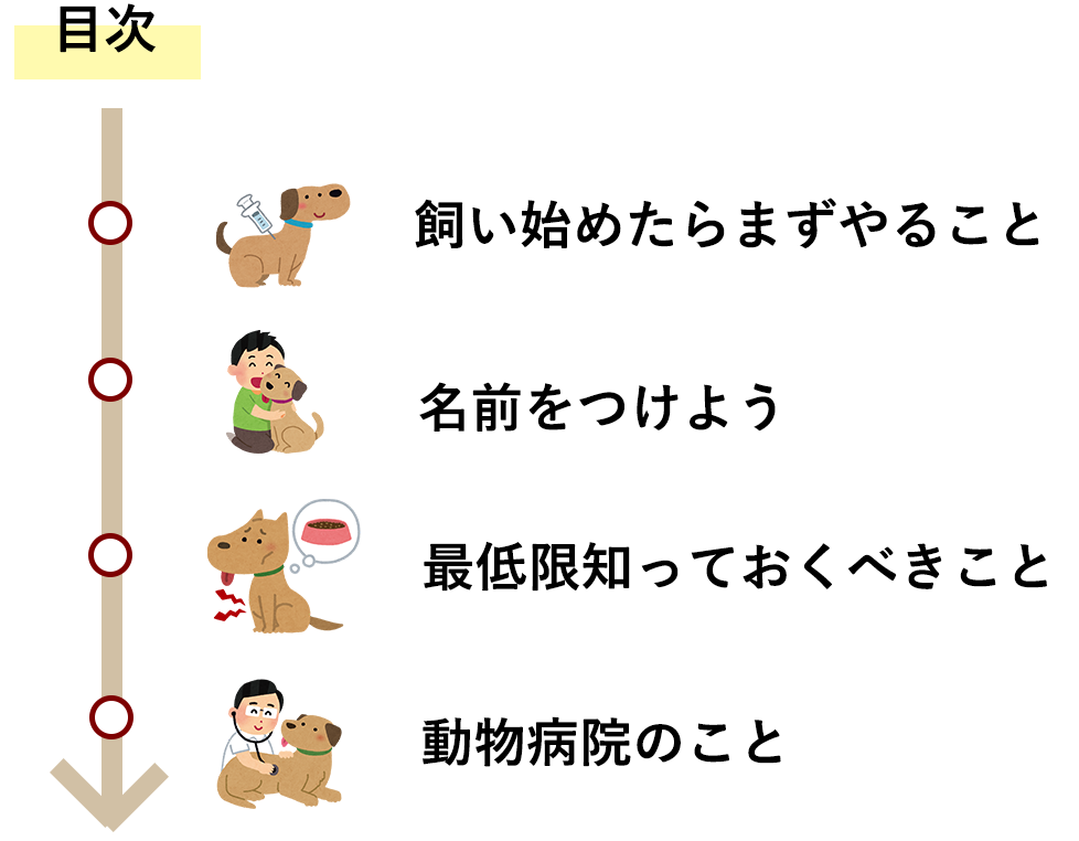 犬を飼い始めたら